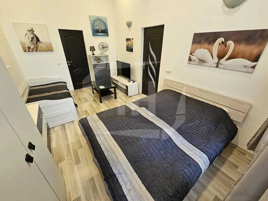 Apartament 1 camera, AC, zona Ultracentrala