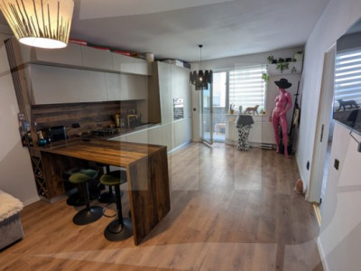 Apartament 2 camere la cheie, Vivo