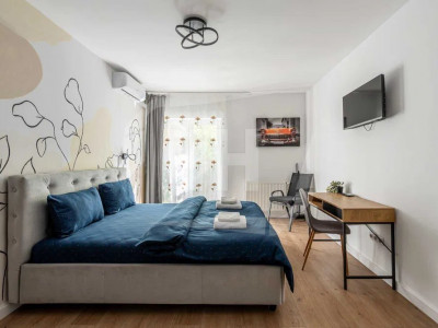 Apartament 1 camera si terasa in zona Iulius Mall