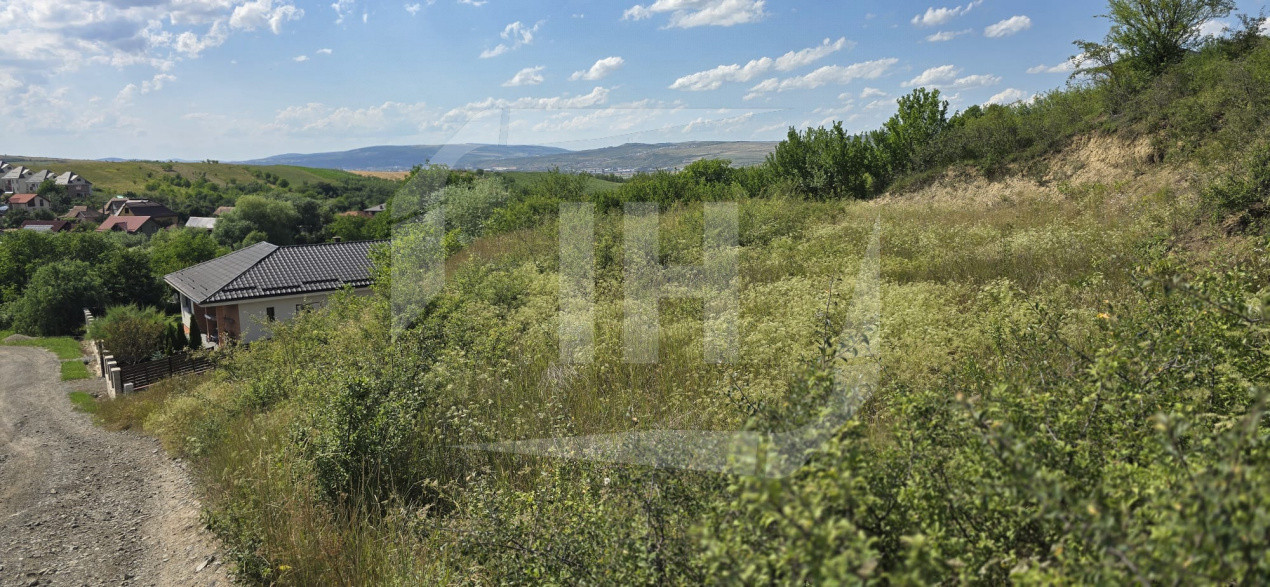Teren intravilan, 959 mp, Dezmir