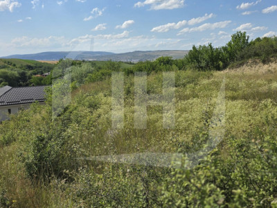 Teren intravilan, 959 mp, Dezmir