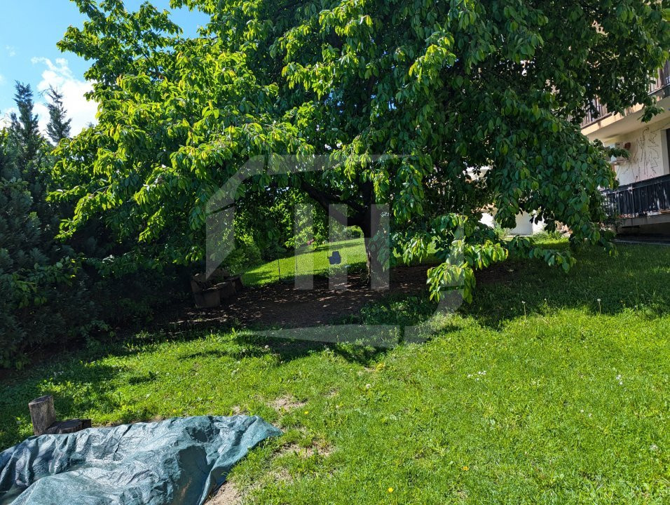 Apartament 3 camere, 2 parcari, beci si 1500 mp de verdeata!