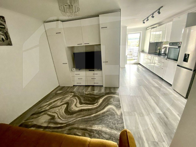 Apartament 2 camere, la cheie, Dambul Rotund