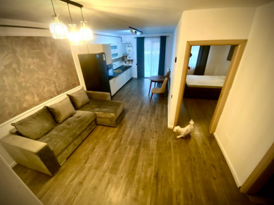 Apartament 2 camere, la cheie, Dambul Rotund