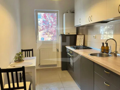 Apartament 2 camere, decomandat, terasa si gradina, cartier Buna Ziua