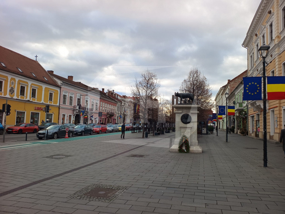 Apartament 4 camere, ultracentral