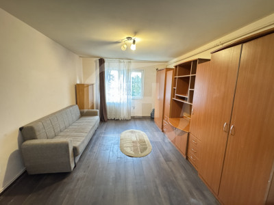 Garsoniera, etaj 1, centrala proprie pe str Fabricii