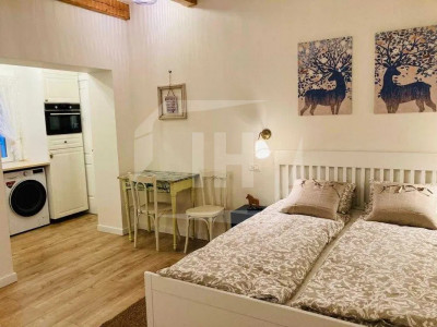 Studio modern I cu parcare I Centru I Horea