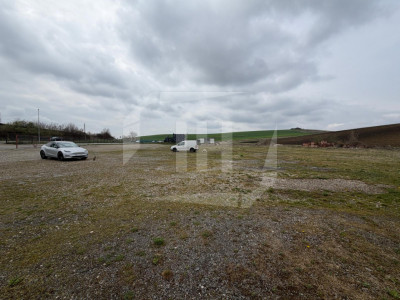 Teren 8000 mp si hala de 100 mp, in Apahida 