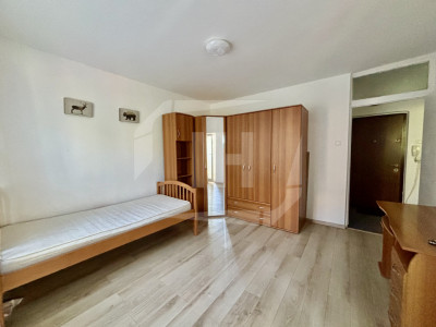 Apartament 1 camera, decomandat, Titulescu